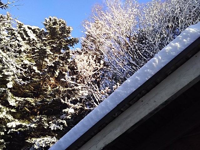 雪と青空のコントラスト