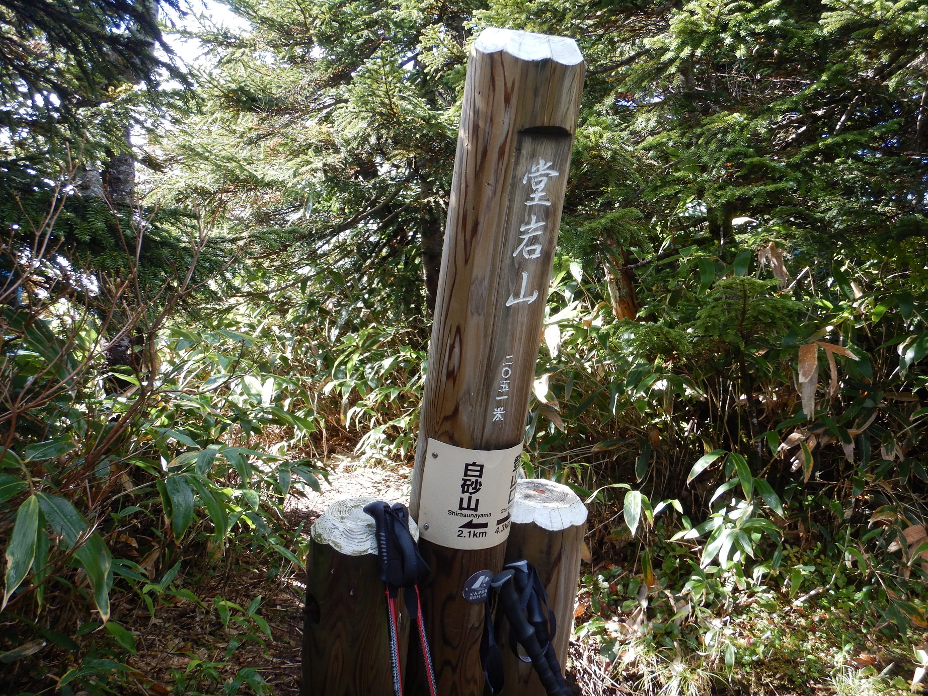 堂岩山(どういわやま)