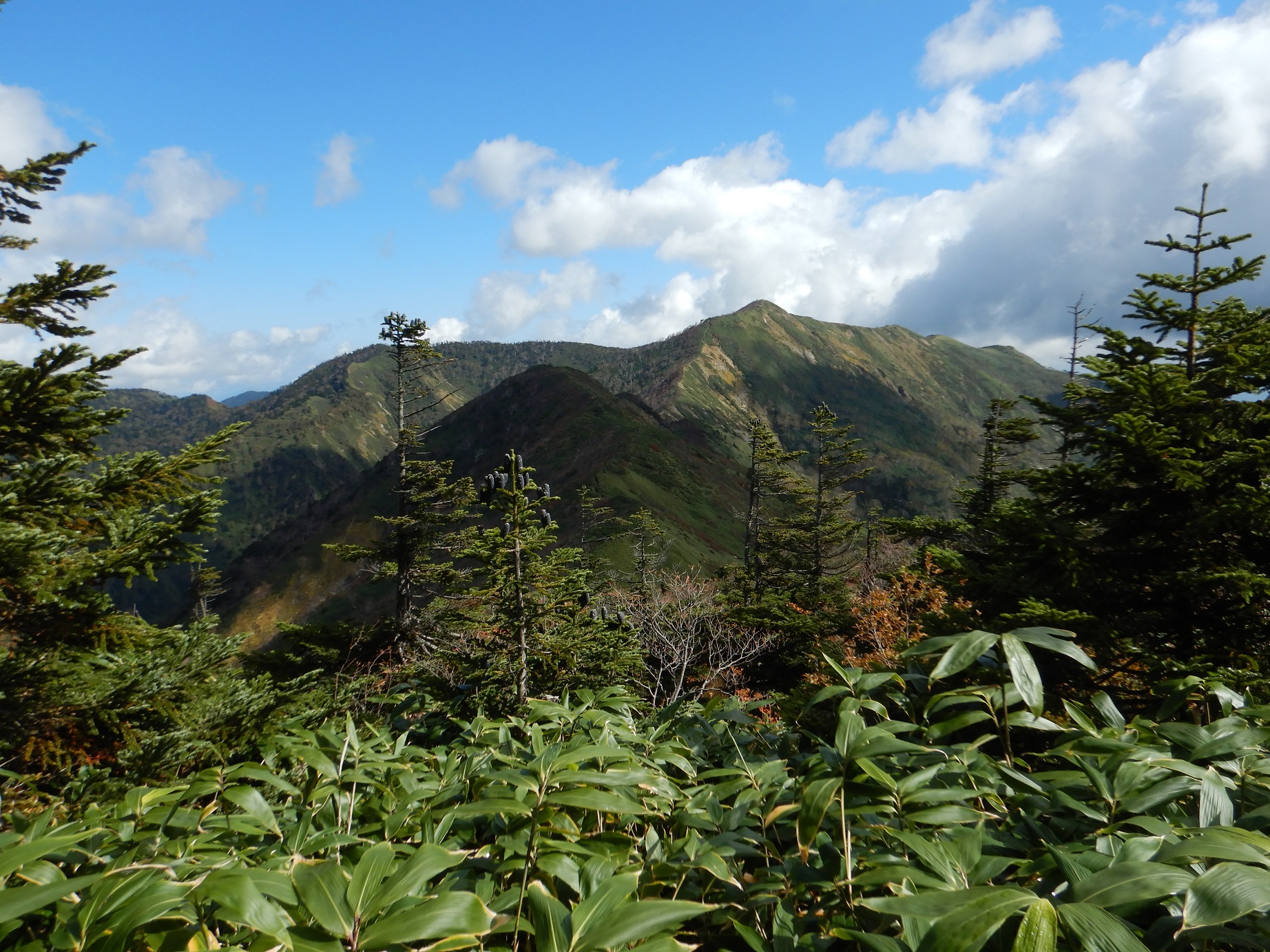 「城砂山」頂上付近を望む