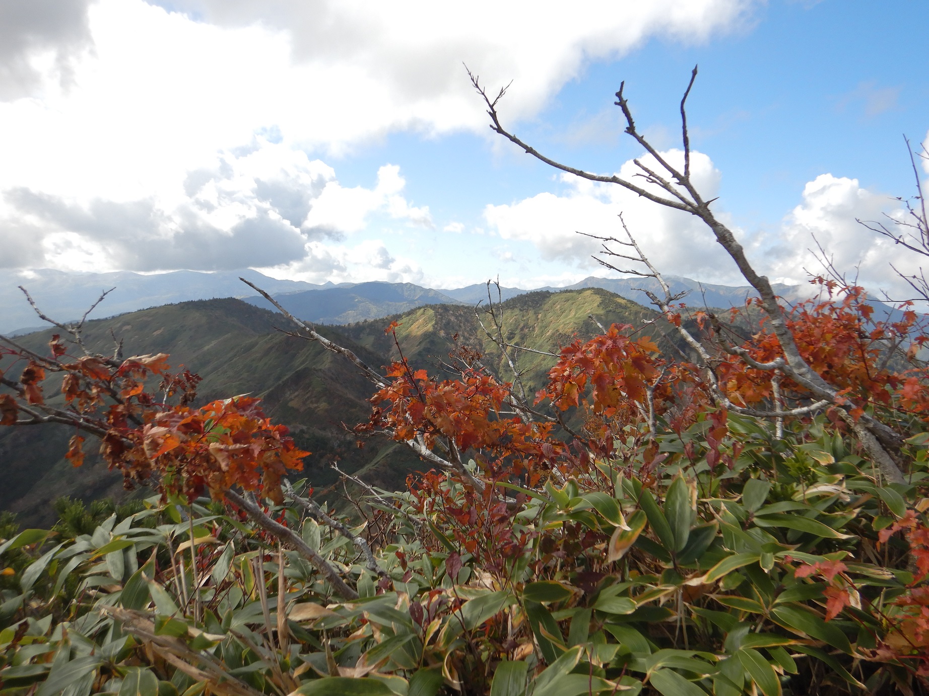 最後の登りからの景色