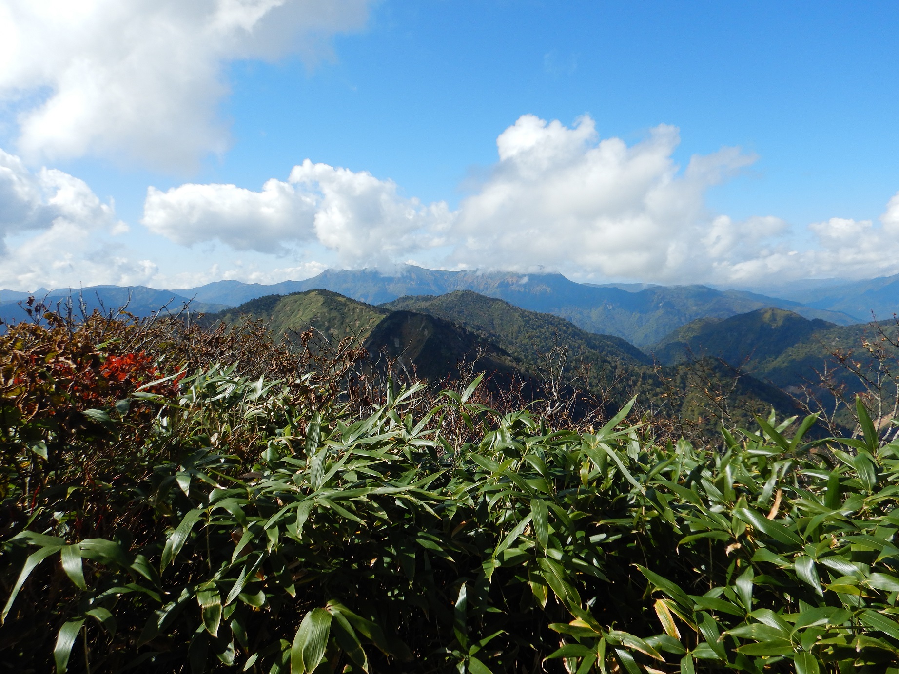 「白砂山」山頂からの景色