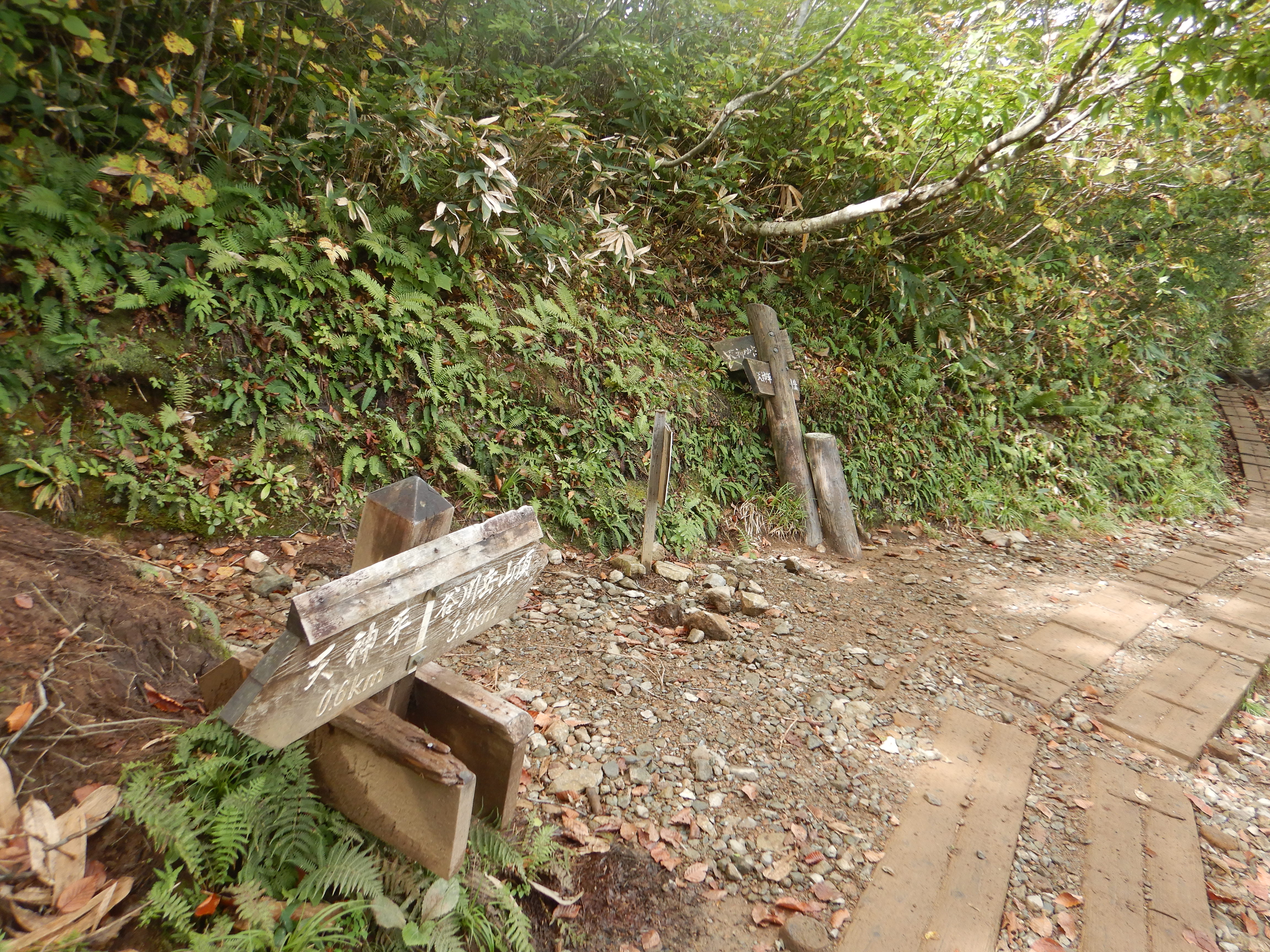 天神峠への分岐