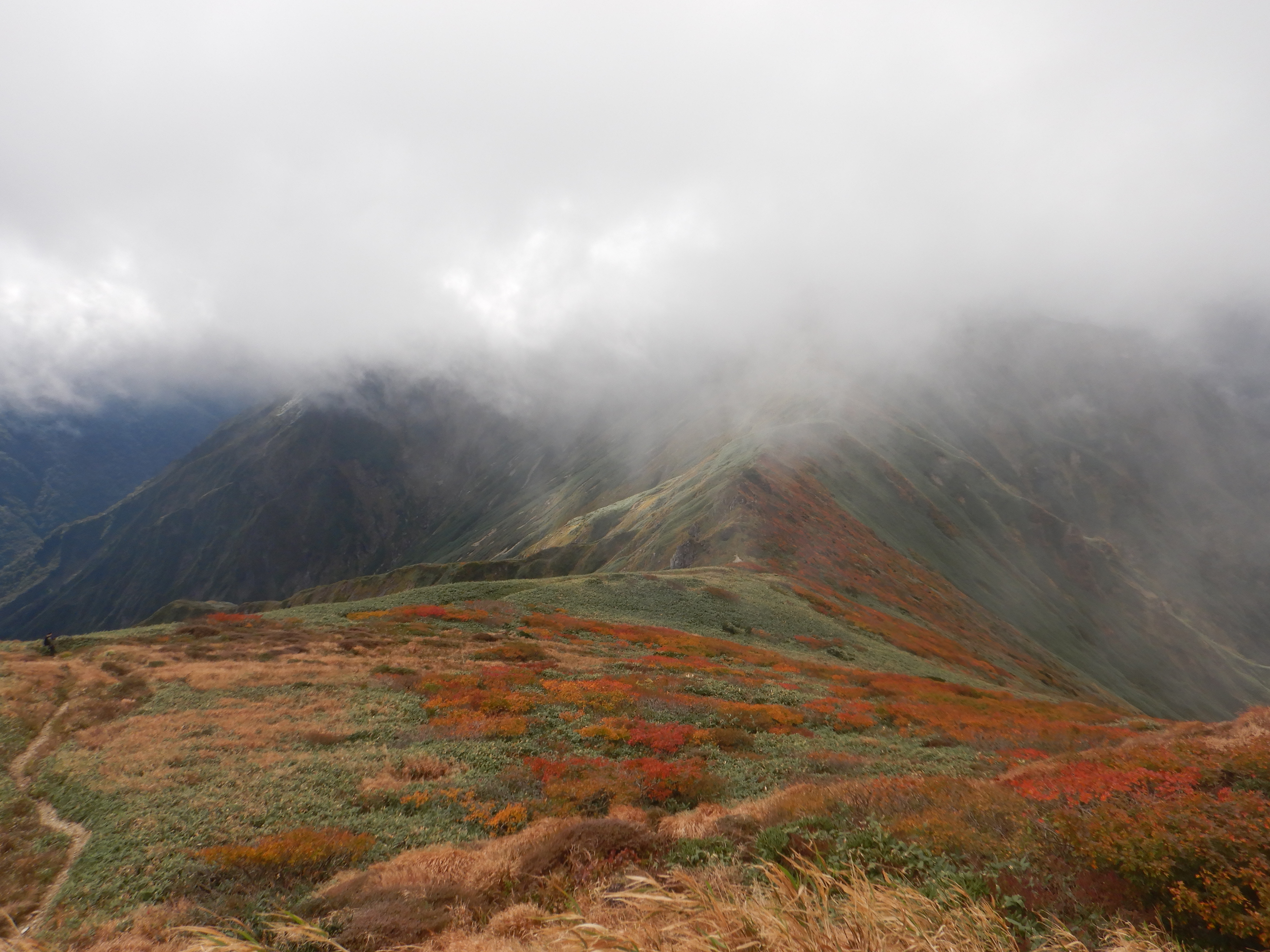 谷川岳の紅葉