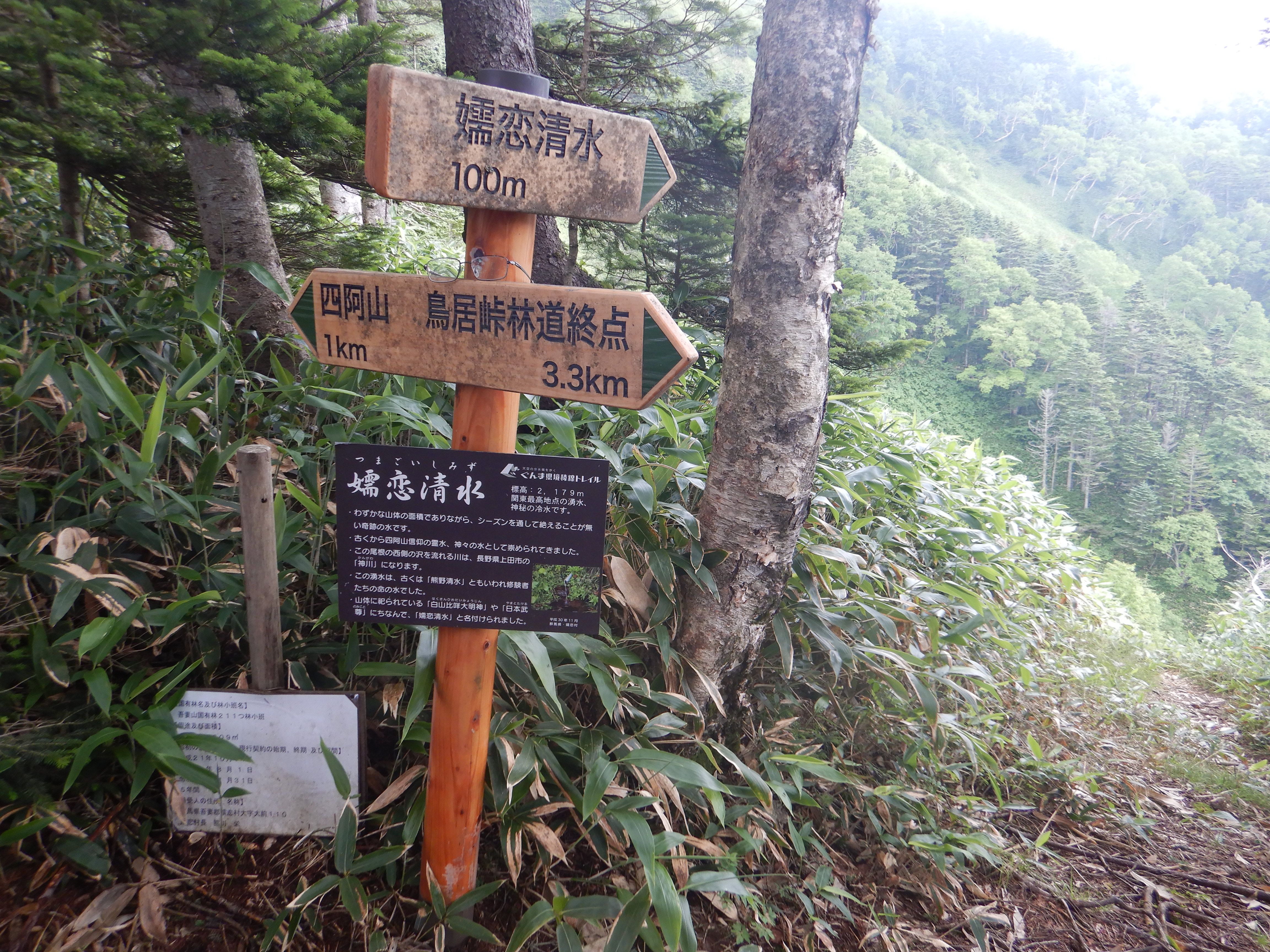 「嬬恋清水」分岐