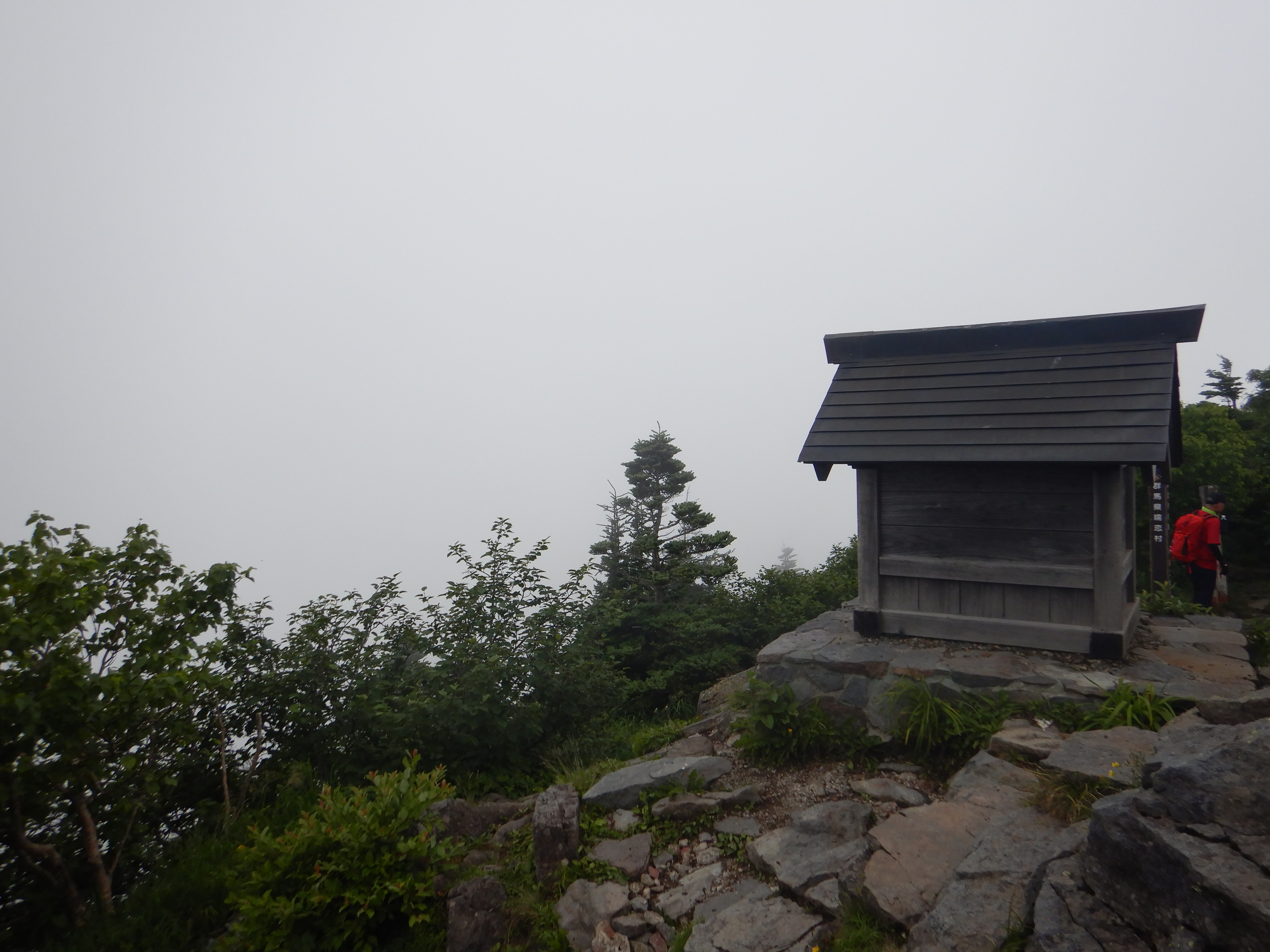 雲の中
