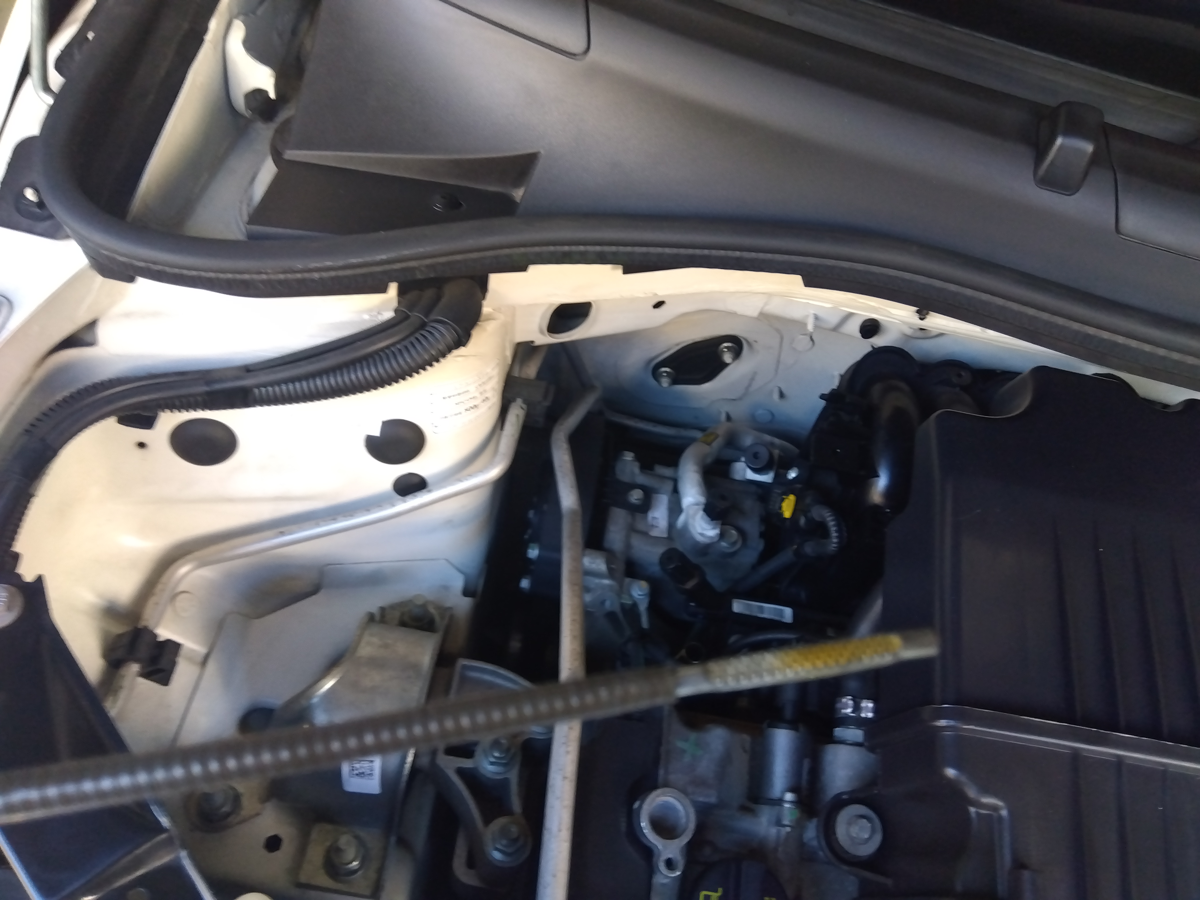 オイル＋フィルター交換