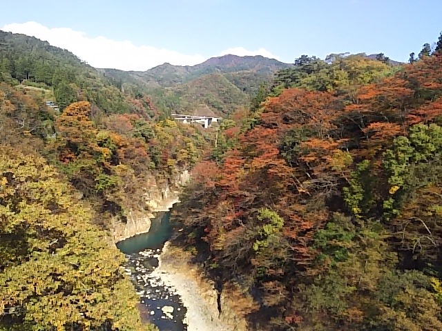 紅葉の「チヤツボミゴケ公園」