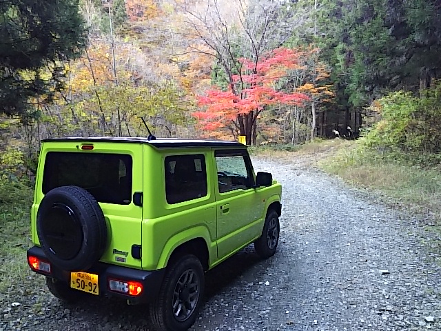 紅葉の「秋鹿林道」