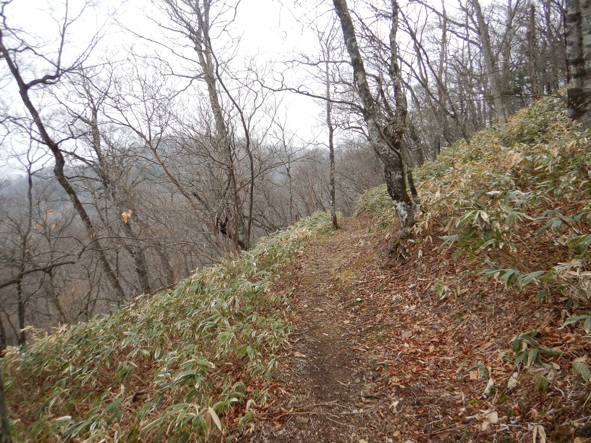 稲包山へ