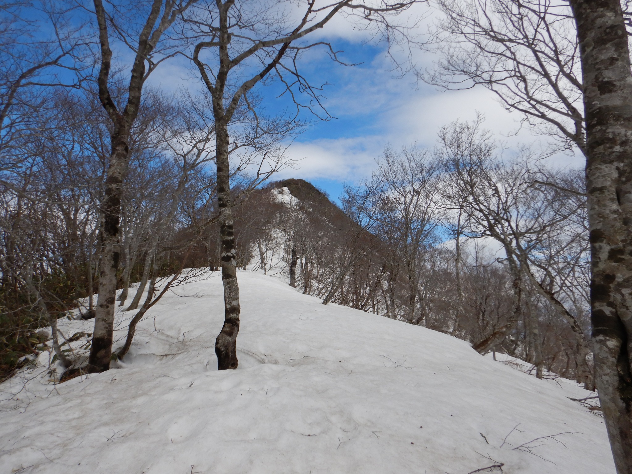 残雪の「稲包山」山頂直下