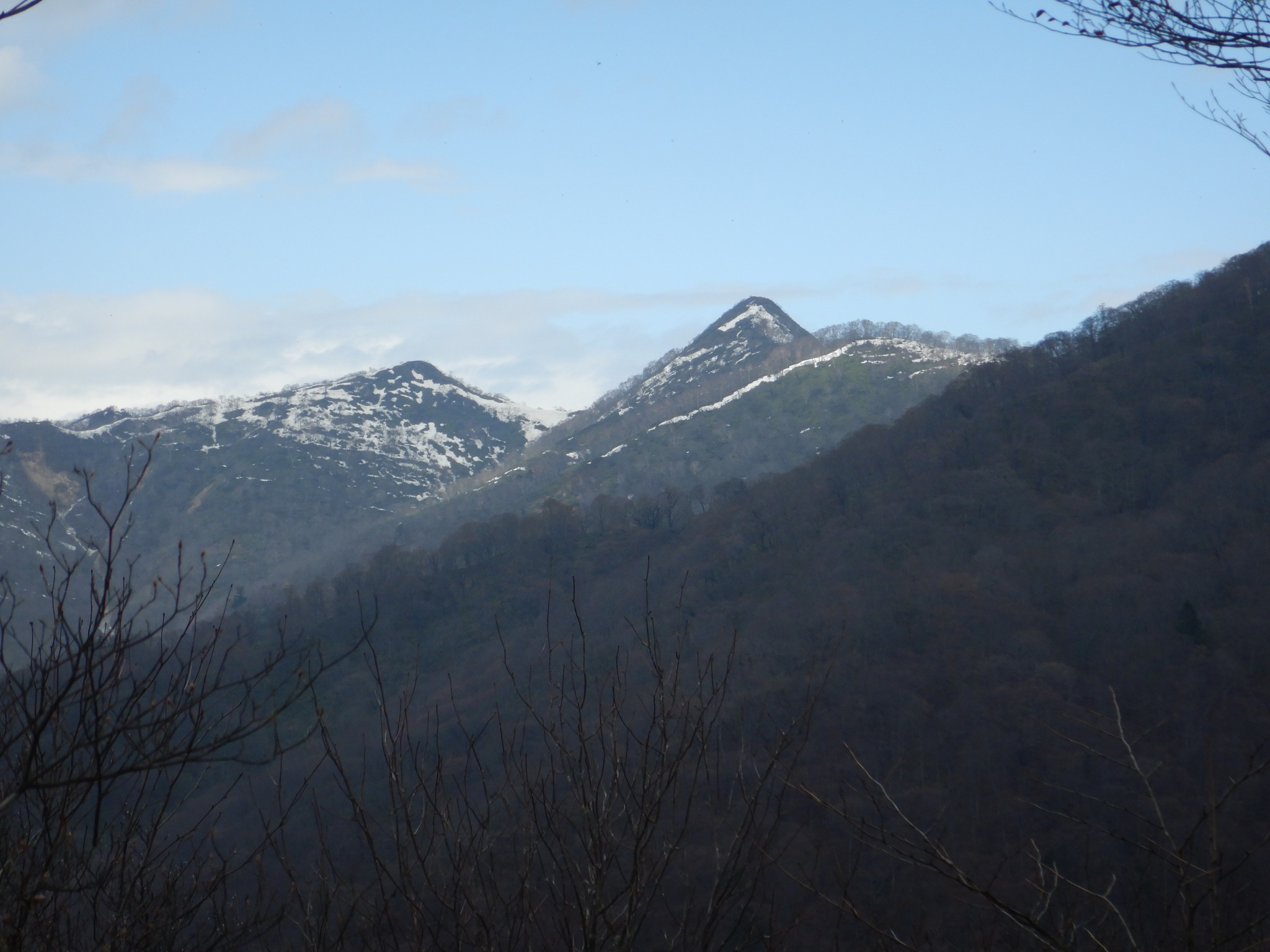 「稲包山」を望む