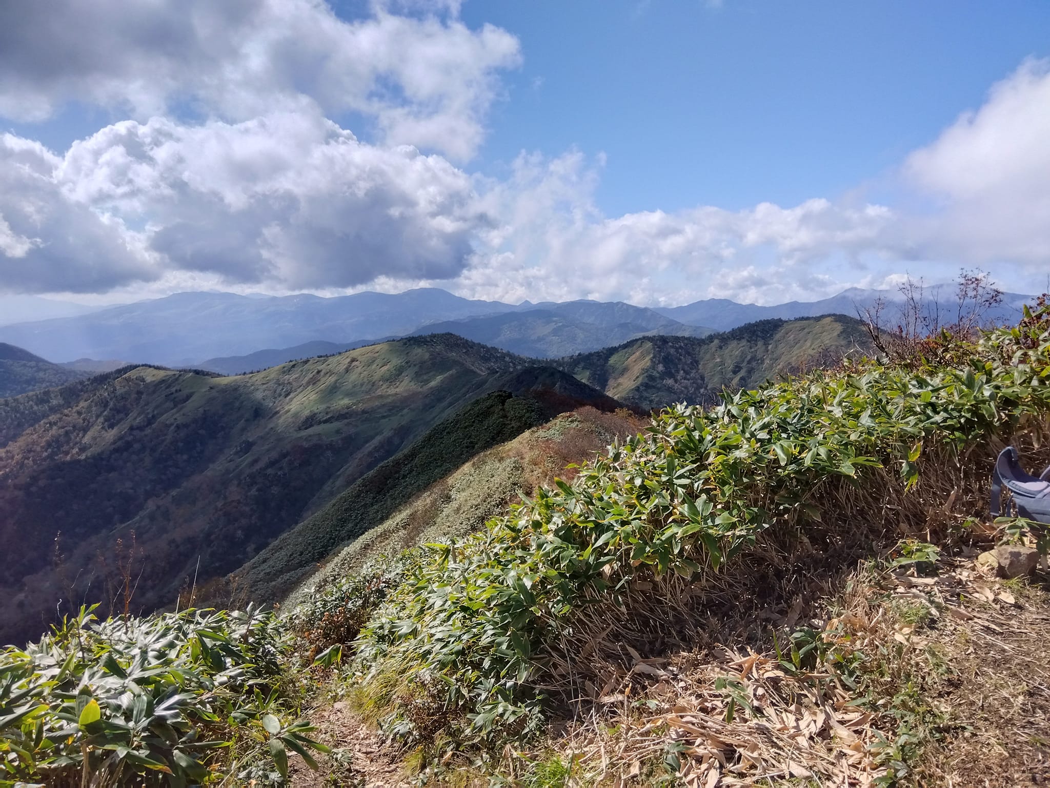 白砂山からの展望